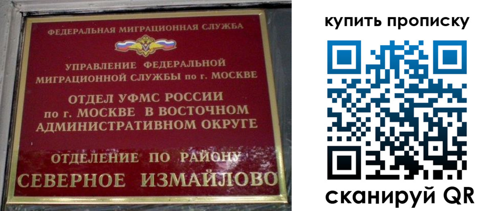 прописка в квартире в Лосино-Петровском